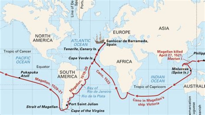 A Detailed Exploration For The Davincibiography Niche