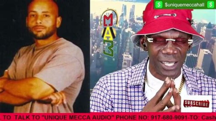 Uncover The Untold Stories Of Bronx Legends
