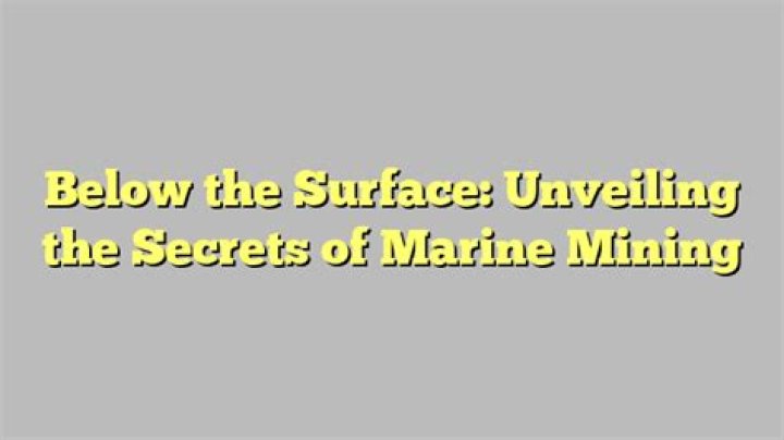 Unveiling Marine Secrets For 2024